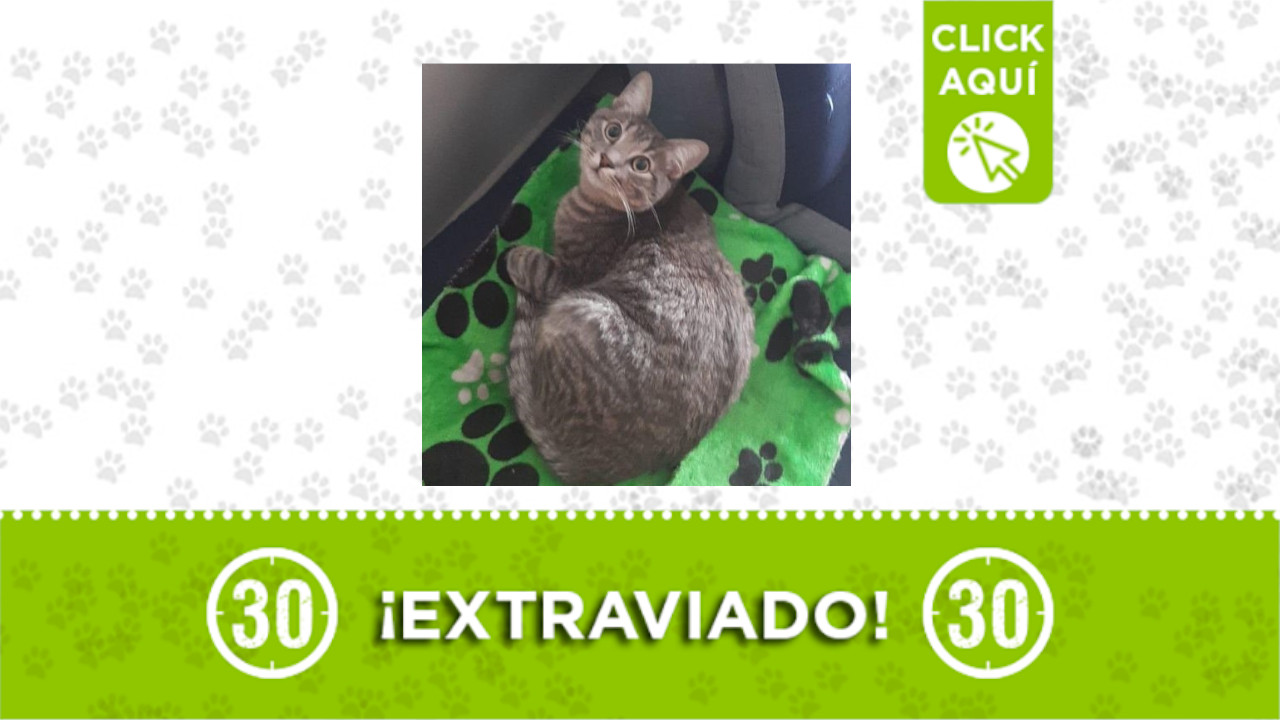 oliver