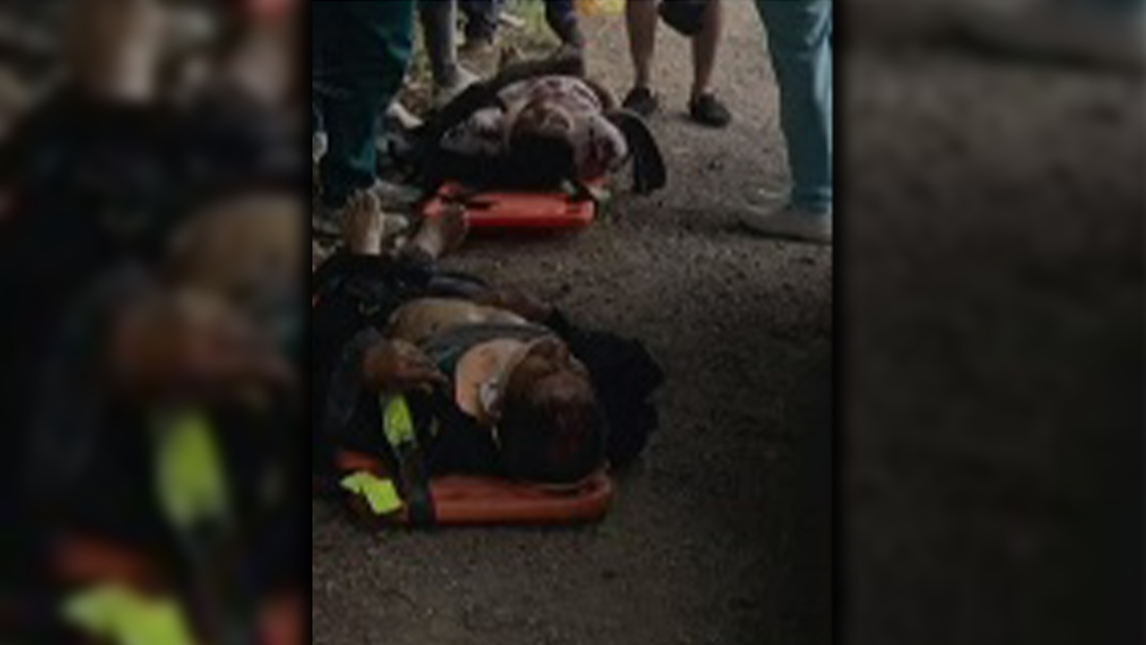 Fuerte accidente en Cundinamarca dejo 20 personas heridas