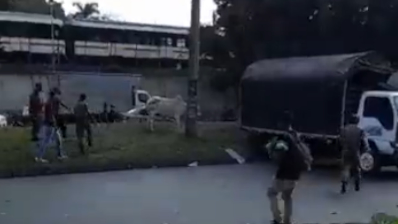 [VIDEO] ¿Maltrato animal? Llevan horas tratando de montar una vaca a un camión en Niquía
