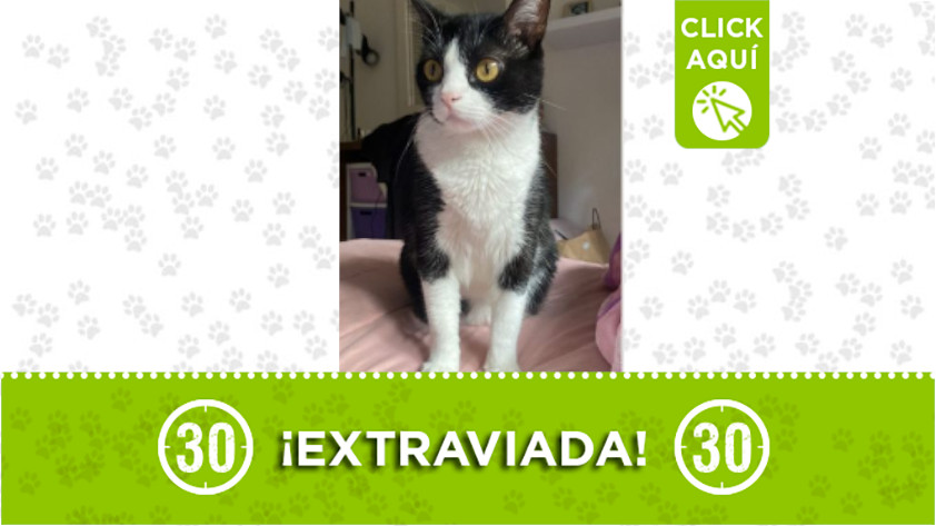 ‘Mar’ se extravió en el sector de Las Palmas