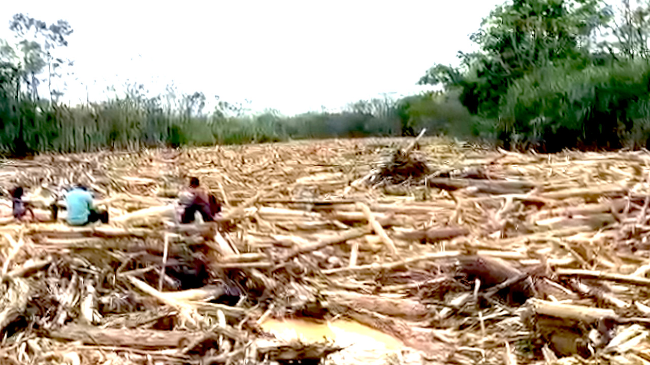 Emergencia por avalancha en Murindó, Antioquia: Más de 2.500 personas aisladas