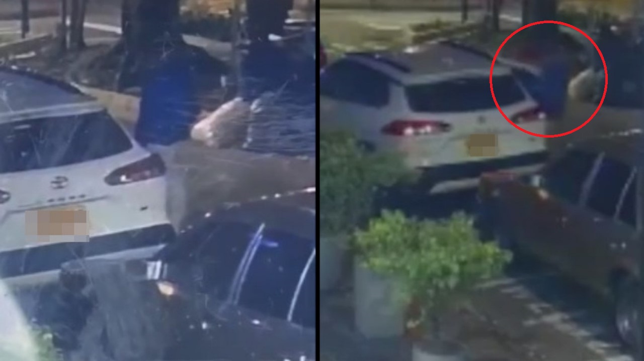 [VIDEO] ‘Parejita’ robando en Sabaneta, uno roba el otro distrae