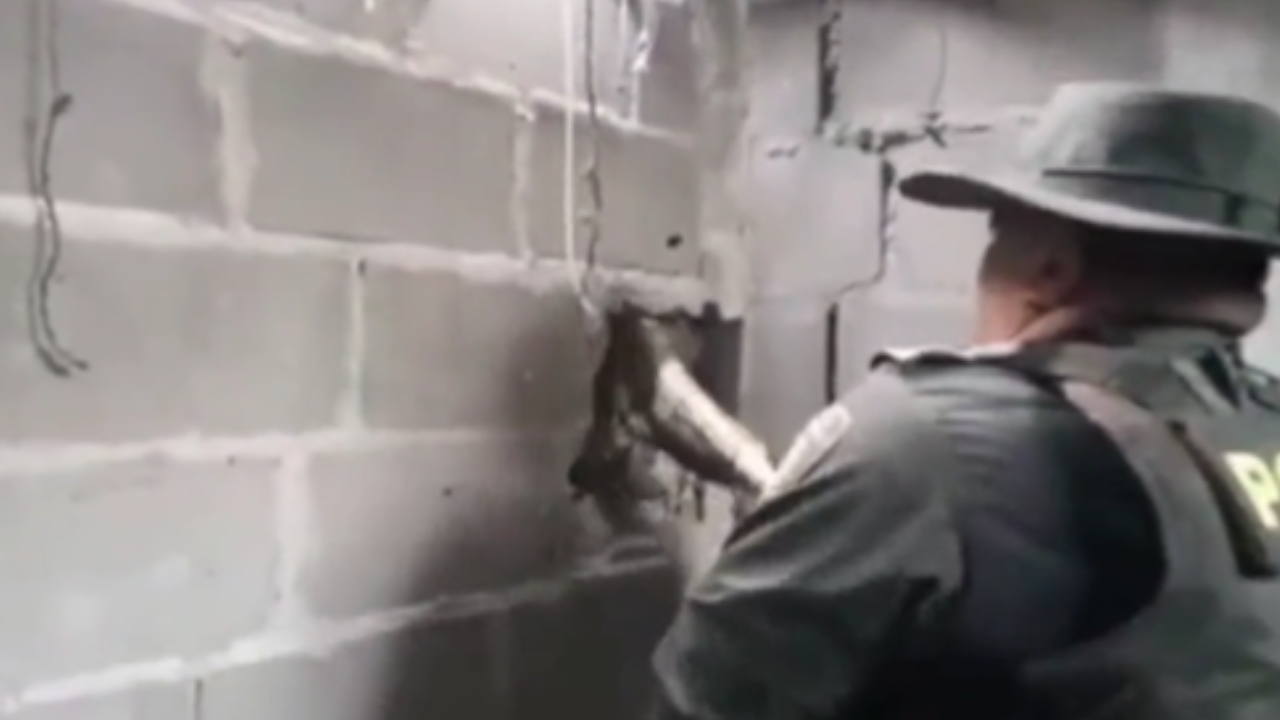 Sacaron una culebra enorme de un muro en Barranquilla