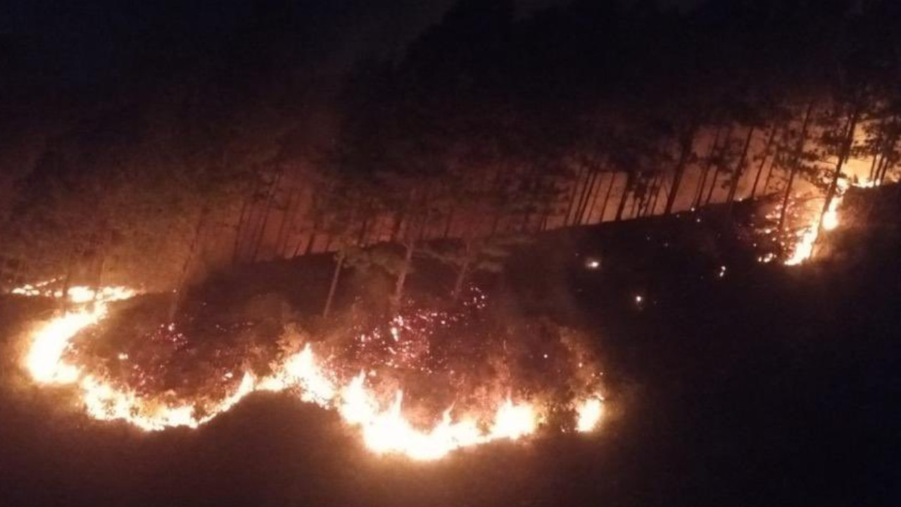 Globo de mecha causó incendio forestal en el cerro Quitasol de Bello