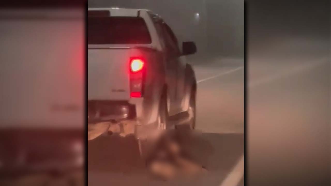 [VIDEO] Se entregó el sujeto que arrastraba a un perrito en la vía Medellín – Bogotá