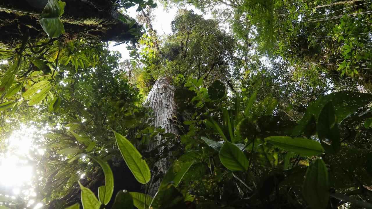 biodiversidad