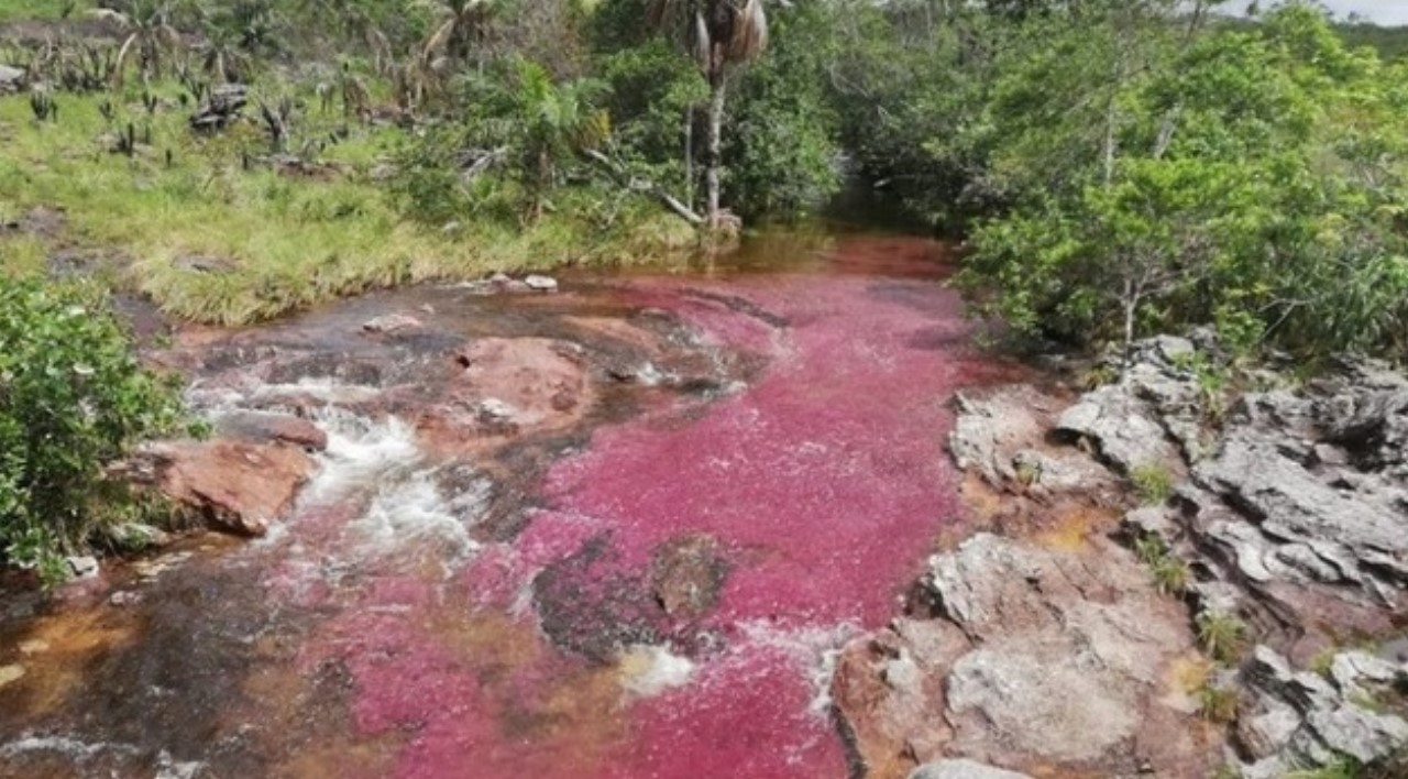 cano cristales