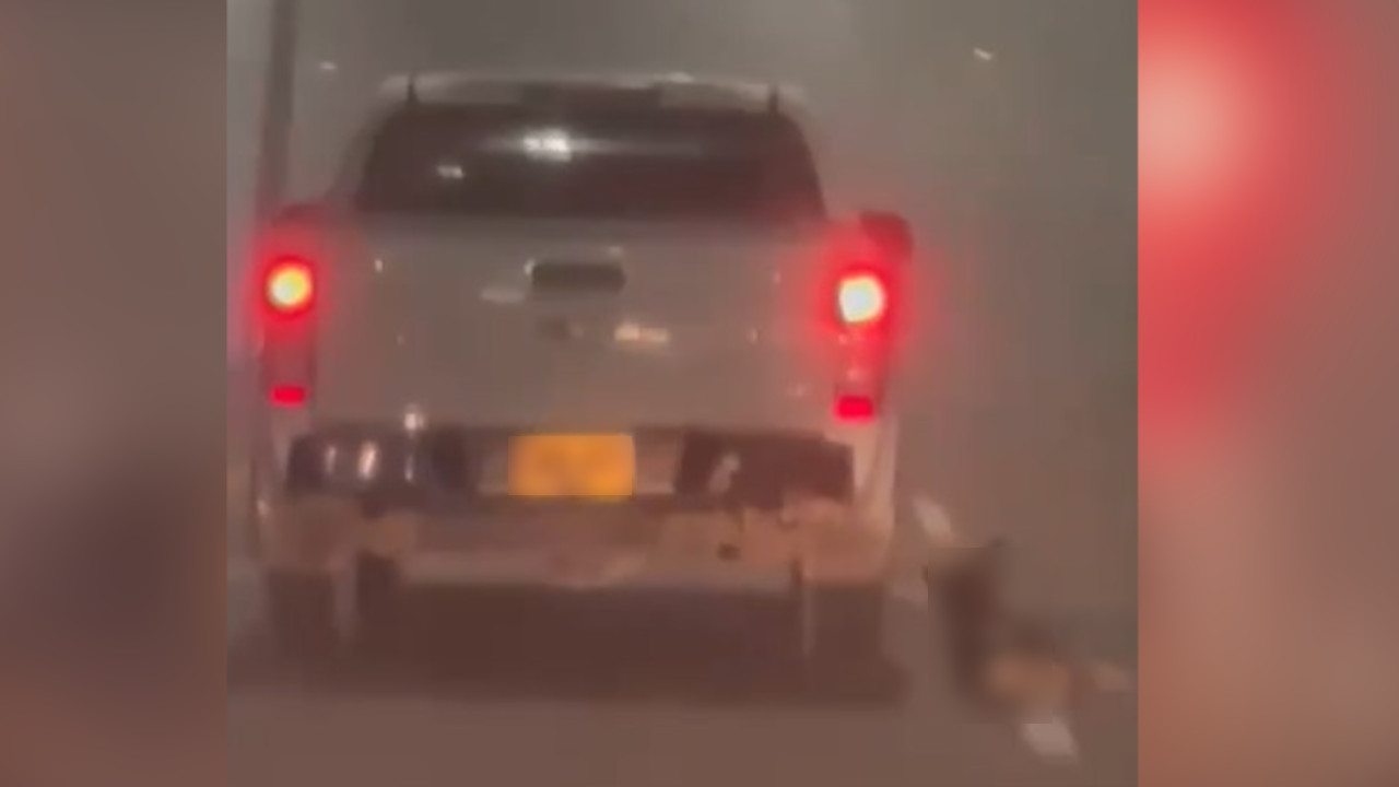 "Estoy muy afectado", dijo el dueño del perrito arrastrado en la vía Medellín – Bogotá
