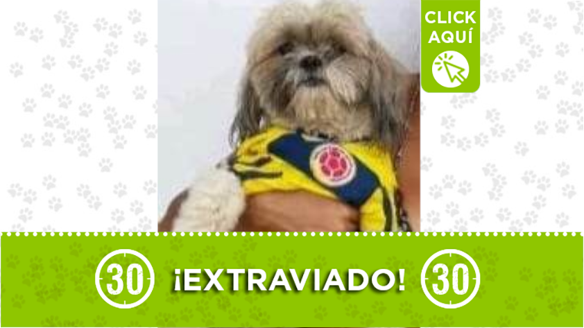 "Brahily" se perdió en el Popular 1