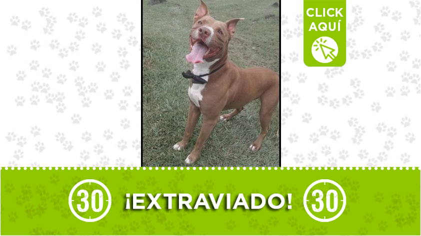 "Aslan" se perdió en La Aurora