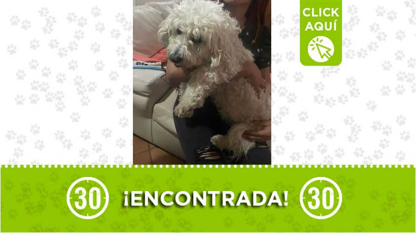 'Tequila' se perdió en Buenos Aires
