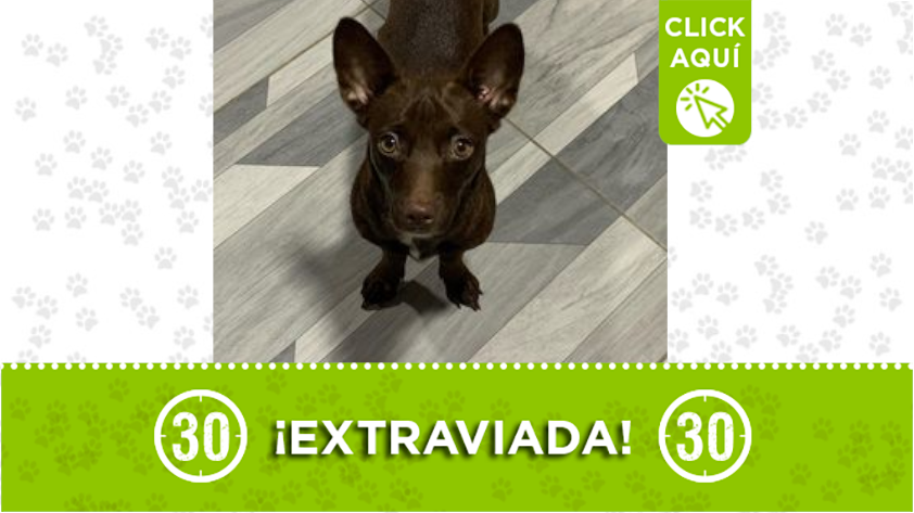 'Tequila' se perdió en Buenos Aires