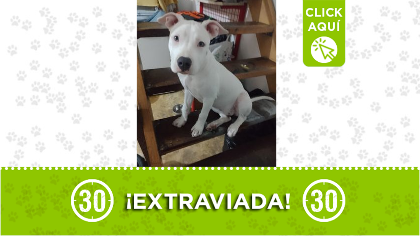 "Tita" se perdió en Copacabana