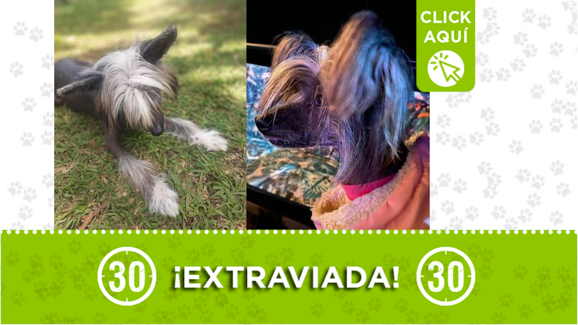 'Cruela' se perdió en Guatapé