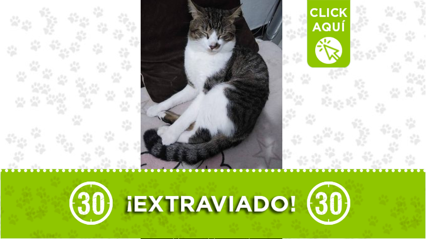 "Tigre" se perdió en El Salvador