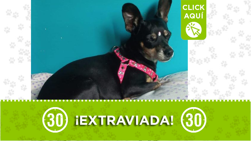 "Luna" se perdió en La América