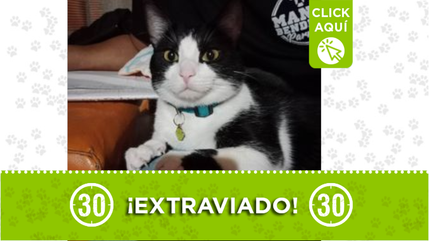 "Mailow" se perdió en Itagüí