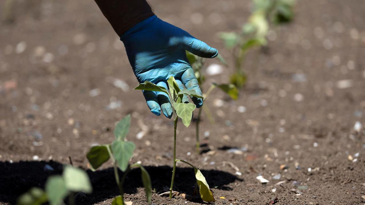 Italia registra el tercer otoño más cálido de sus registros