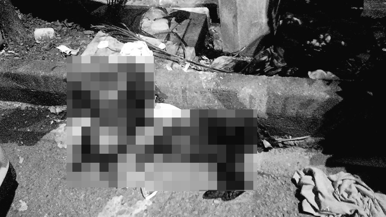 ¡Indignante! Encontraron dos perritos muertos en Envigado en plena vía publica