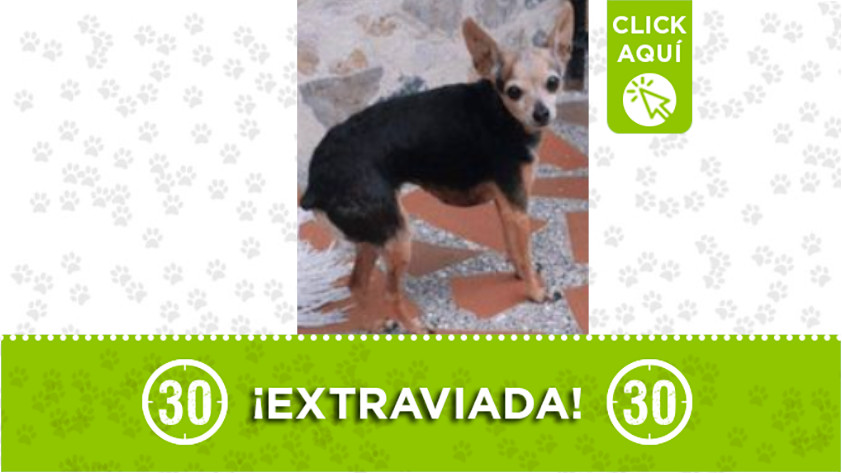 ‘Barbie’ se extravió en Robledo