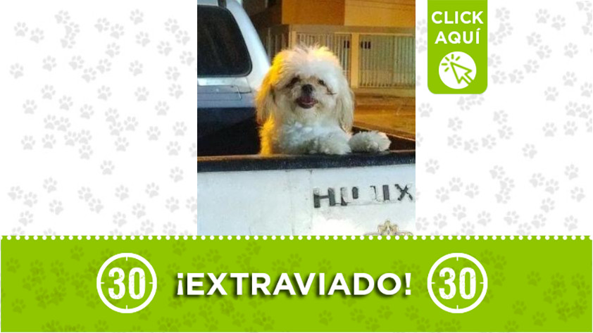 "Coco” se perdió en Robledo