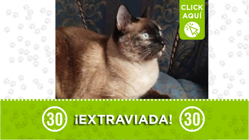 'Julieta' se perdió en Villa Hermosa