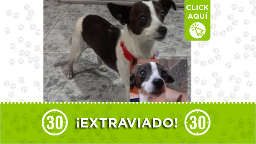 'Nucita' se perdió en Santa Cruz