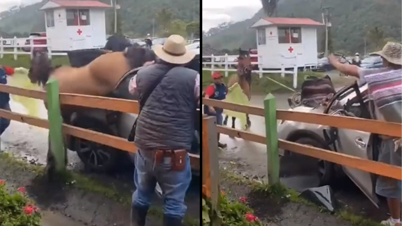 Caballo se le monto a un carro en Salento 1