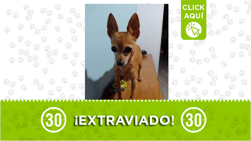 Chiki