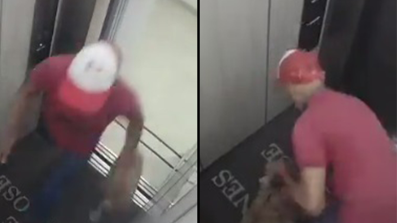 Cuidador de mascotas agarro a golpes a perrito en un ascensor