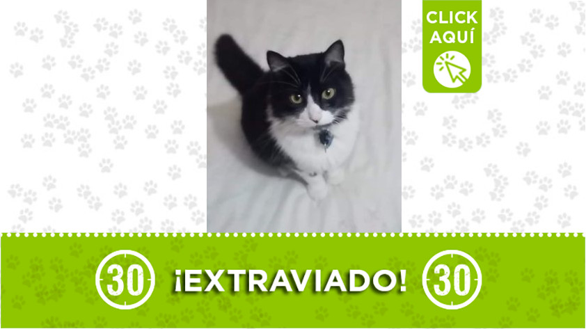 ‘Panda’ se perdió en Robledo Curazao