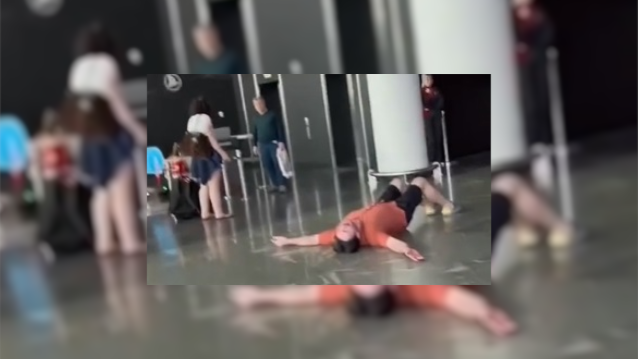 El video del momento en el que turista se entera que aerolínea perdió a sus cuatro perros