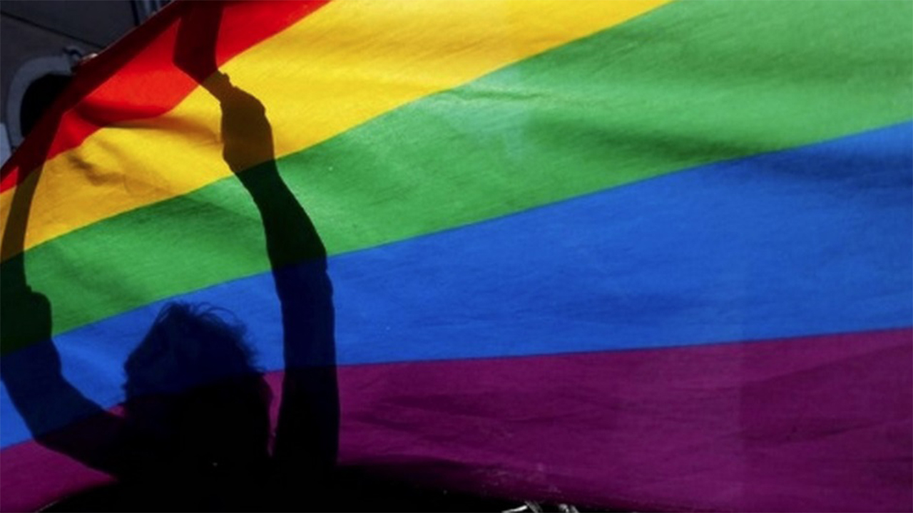 Esto representa el compromiso del Gobierno con la promocion de la diversidad la equidad y la inclusion