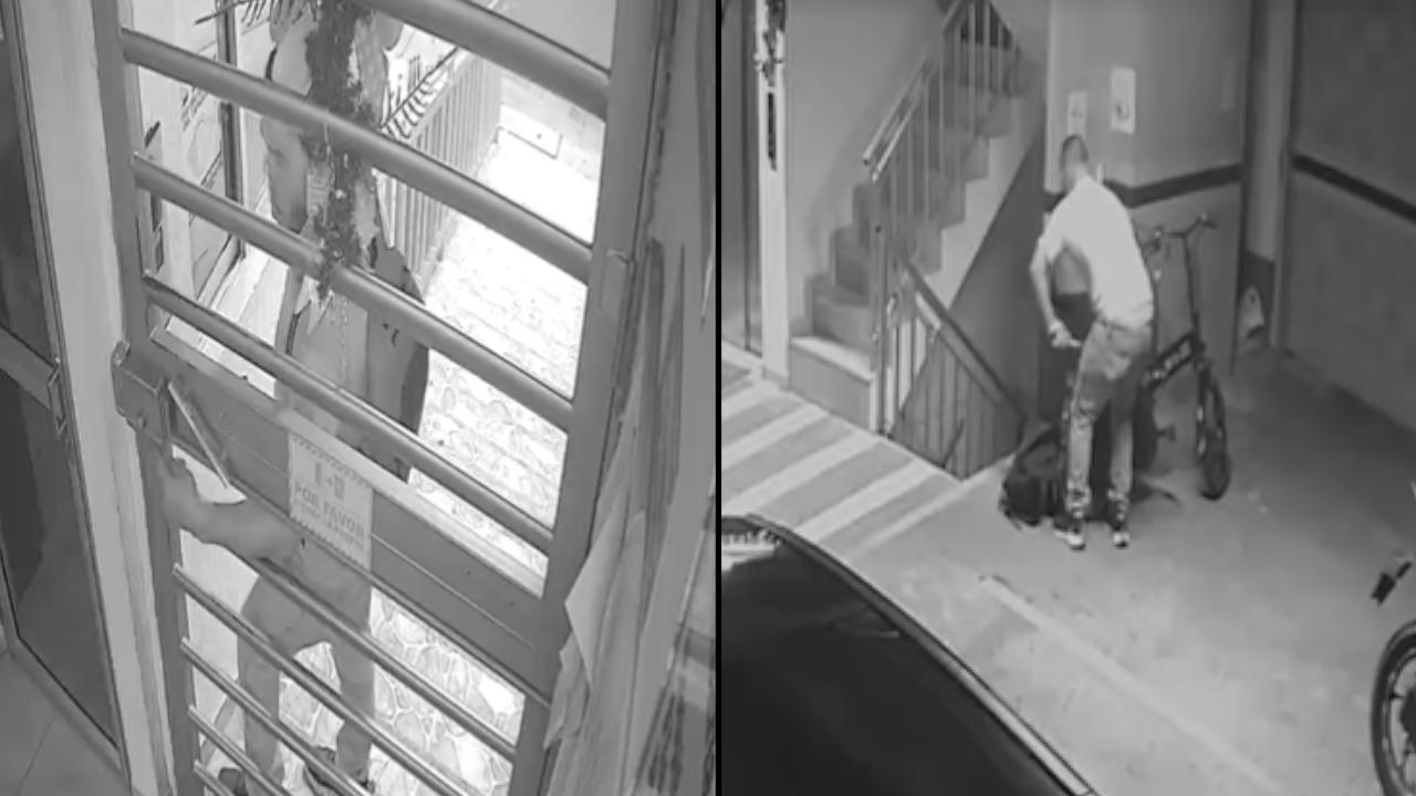 [VIDEO] La inseguridad se está tomando sabaneta: Ladrón entró a edificio como Pedro por su casa
