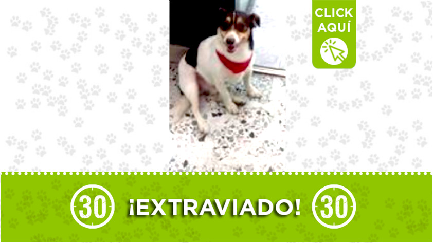 ‘Luky’, se perdió por la Estación Caribe