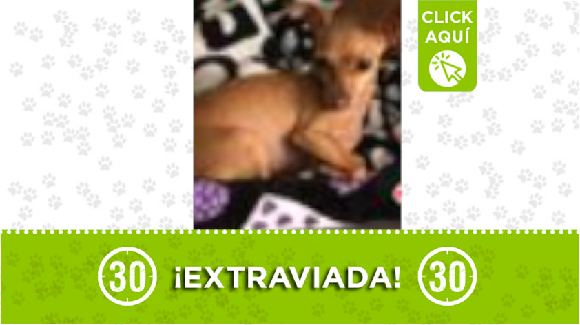 ‘Juanita’ se perdió en Artex, Itagüí