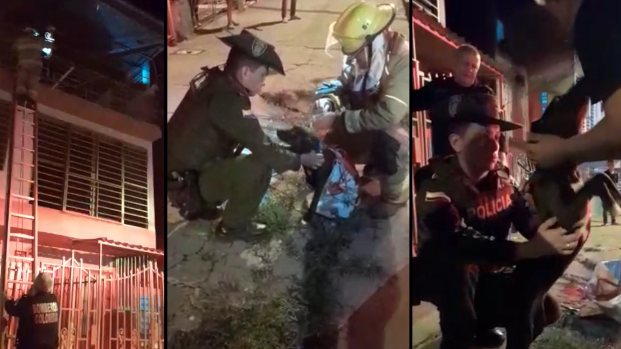 [VIDEO] Policías y bomberos rescataron a una perrita que estuvo amarrada por 20 días en un balcón