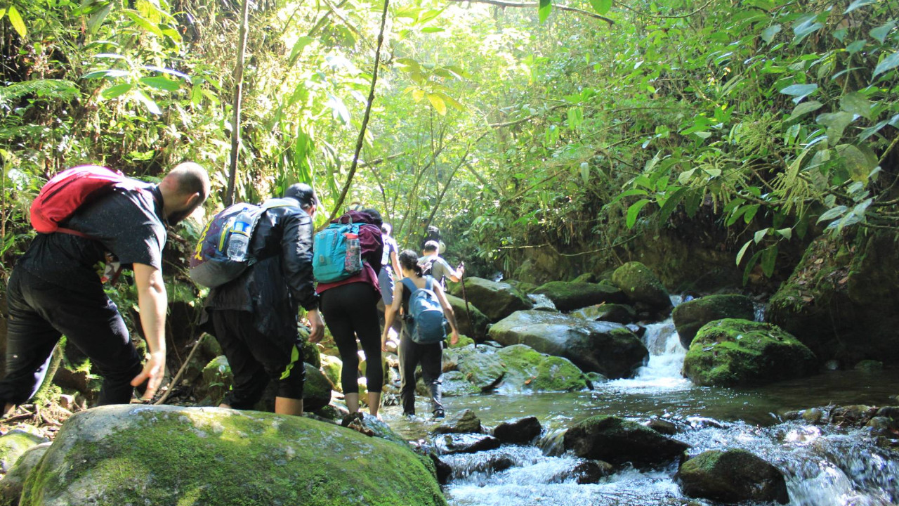 Caminaban por reserva ecológica de Envigado, cuando les robaron hasta los zapatos