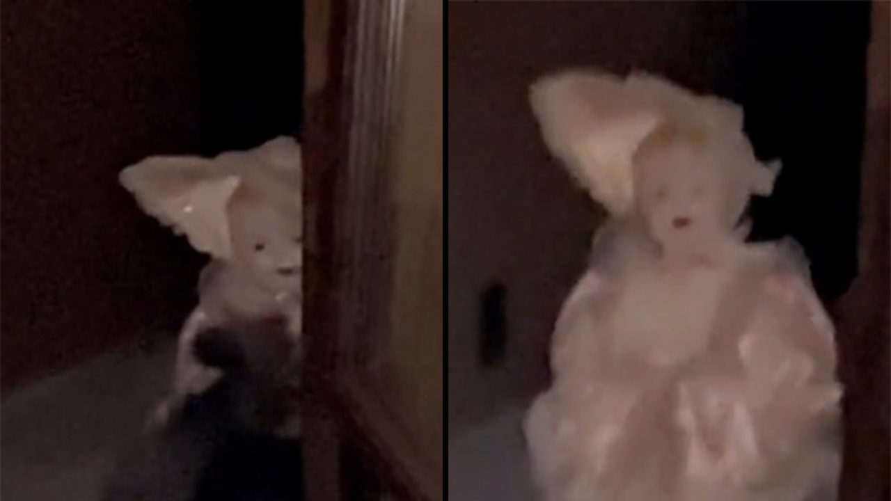 [VIDEO] Supuesta muñeca poseída de abuela muerta aterró a seguidores en TikTok