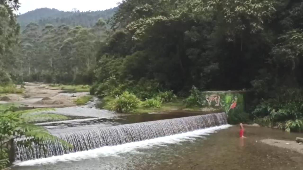 [VIDEO] ¿Este puente de Reyes se va de 'paseo de olla'? Vea este lugar tan chévere en Caldas, Antioquia