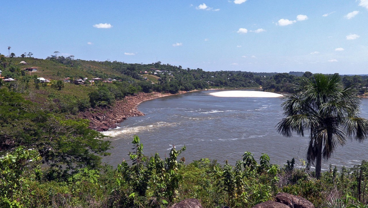 biodiversidad de la Amazonia colombiana 1 1