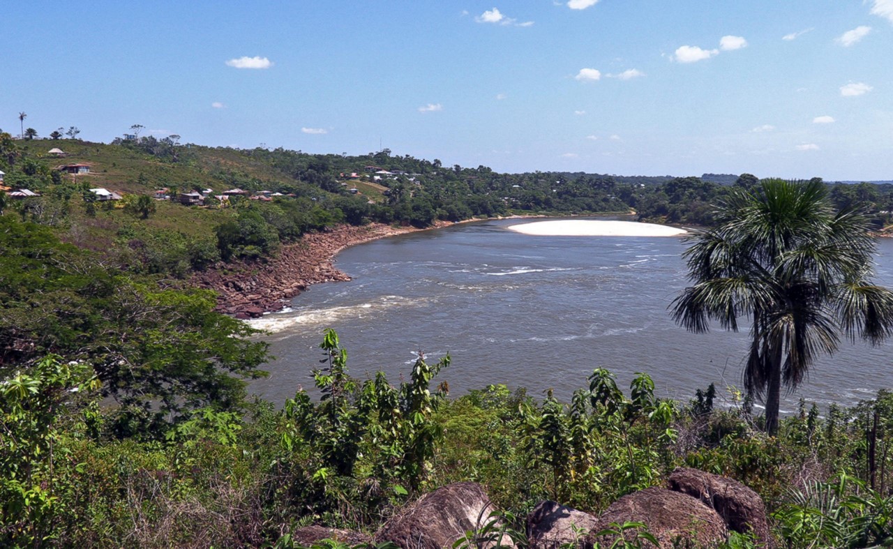 Arranca una expedición para conocer la biodiversidad de la Amazonía colombiana 4 biodiversidad de la Amazonia colombiana 1
