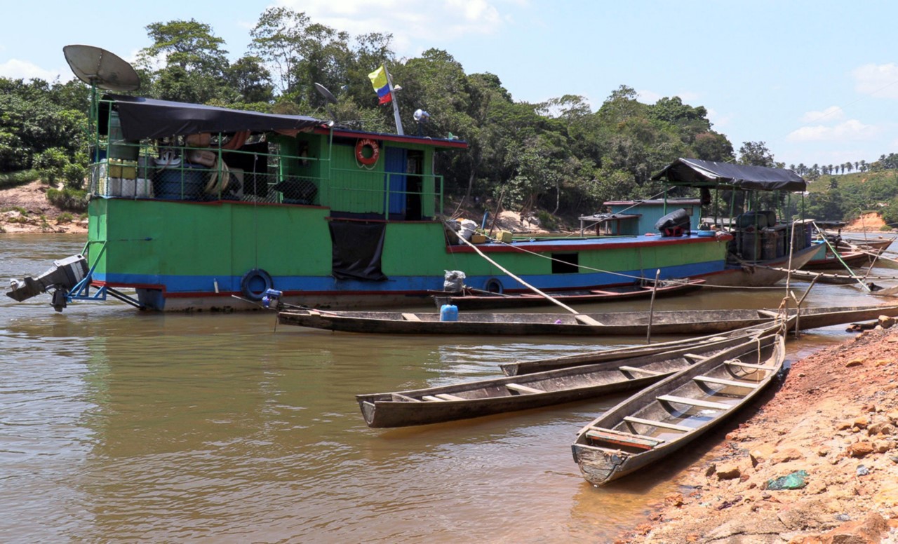 Arranca una expedición para conocer la biodiversidad de la Amazonía colombiana 2 biodiversidad de la Amazonia colombiana 3