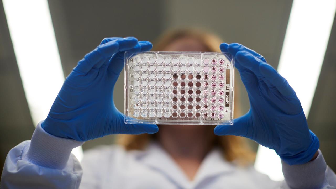 Una nueva combinación farmacológica muestra eficacia en cáncer de páncreas