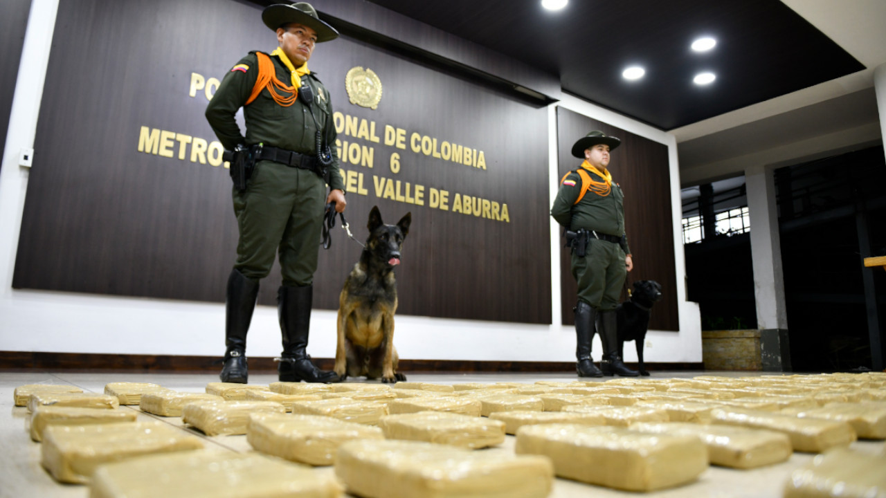 [VIDEO] Dos perritos policías encontraron 507 paquetes de marihuana en Sabaneta