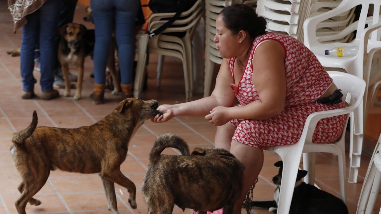 mujer salvado por sus perros en rosa cauca