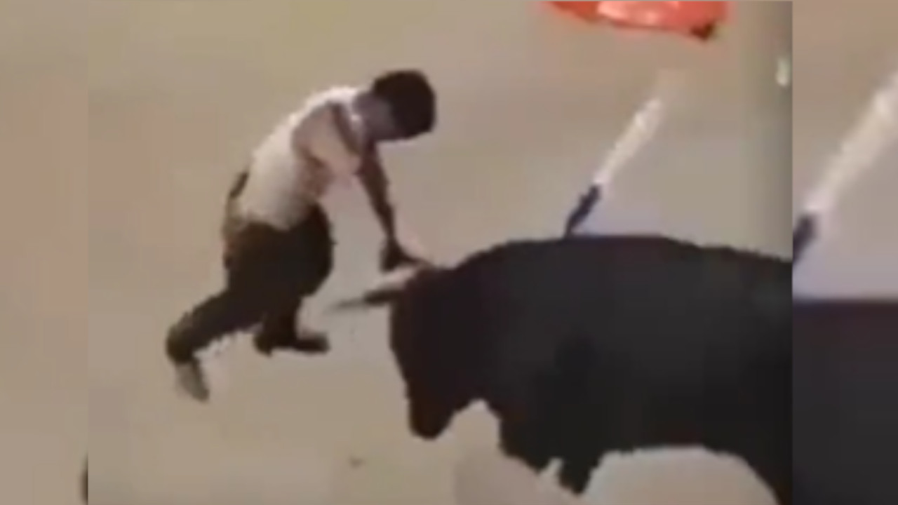Un hombre murió corneado por un toro en corralejas de Magdalena