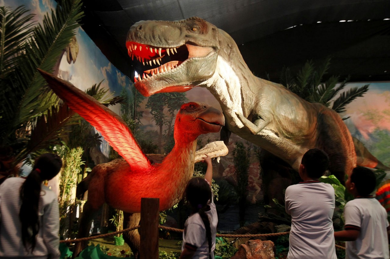 Dinosaurios y dragones animatrónicos inician un viaje mágico en Medellín 2 Dinosaurios y dragones animatronicos inician un viaje magico en Medellin 1