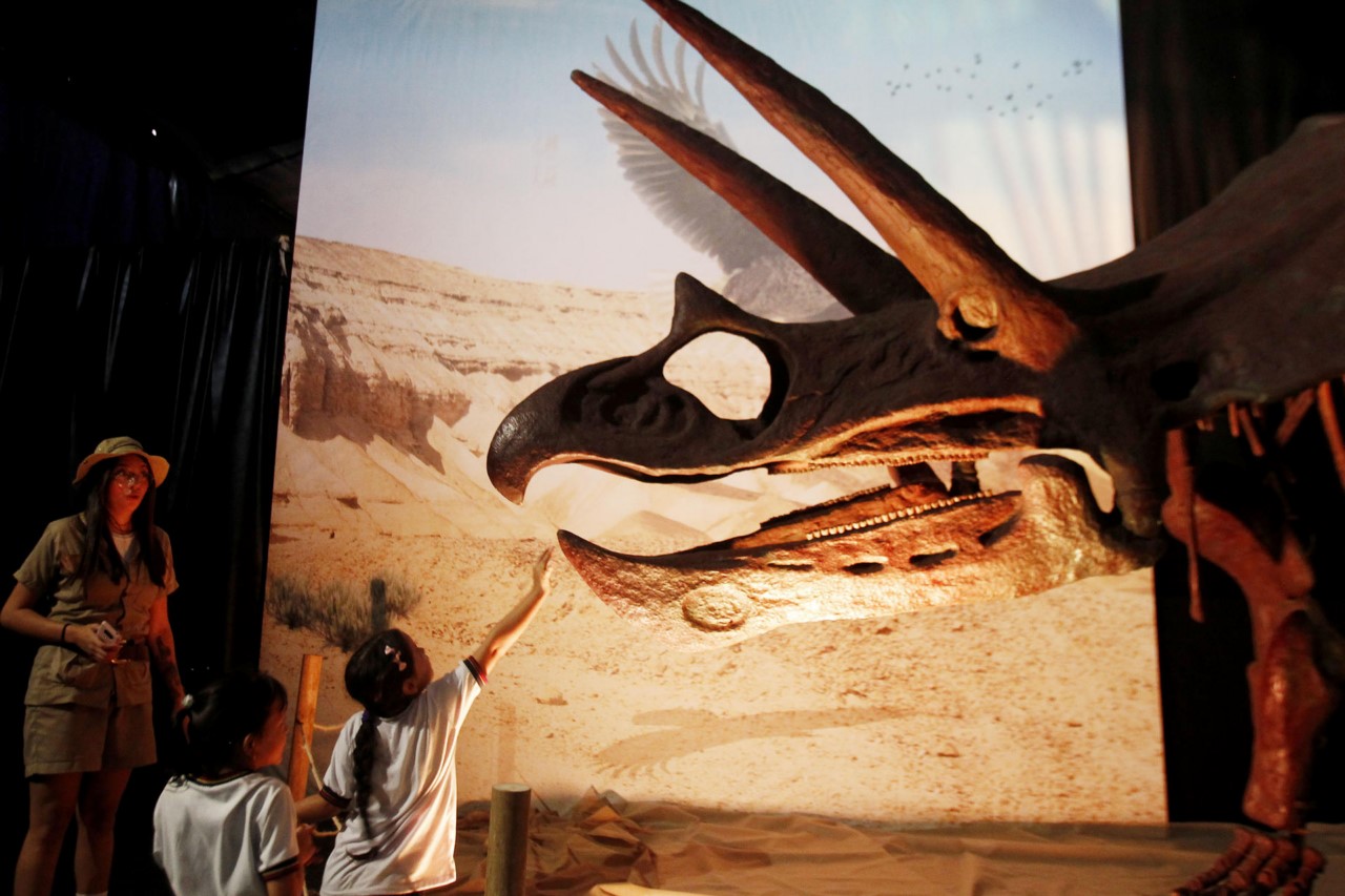 Dinosaurios y dragones animatrónicos inician un viaje mágico en Medellín 4 Dinosaurios y dragones animatronicos inician un viaje magico en Medellin 3