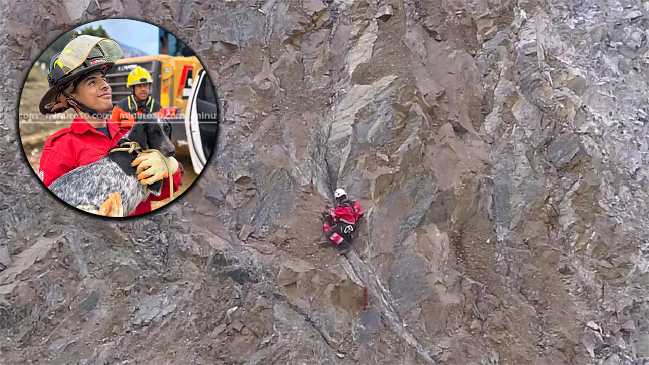 [FOTOS Y VIDEOS] ¡Son héroes! Bomberos de Bello rescataron a una perrita que estuvo tres días atrapada en una cantera